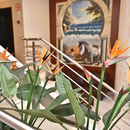 Hotel Adsubia